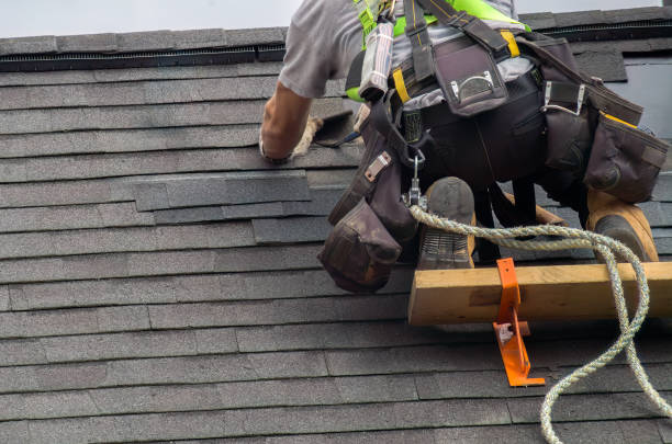 Residential Roof Replacement in Fern Acres, HI