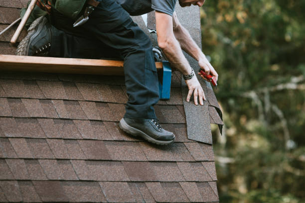 Roof Gutter Cleaning in Fern Acres, HI